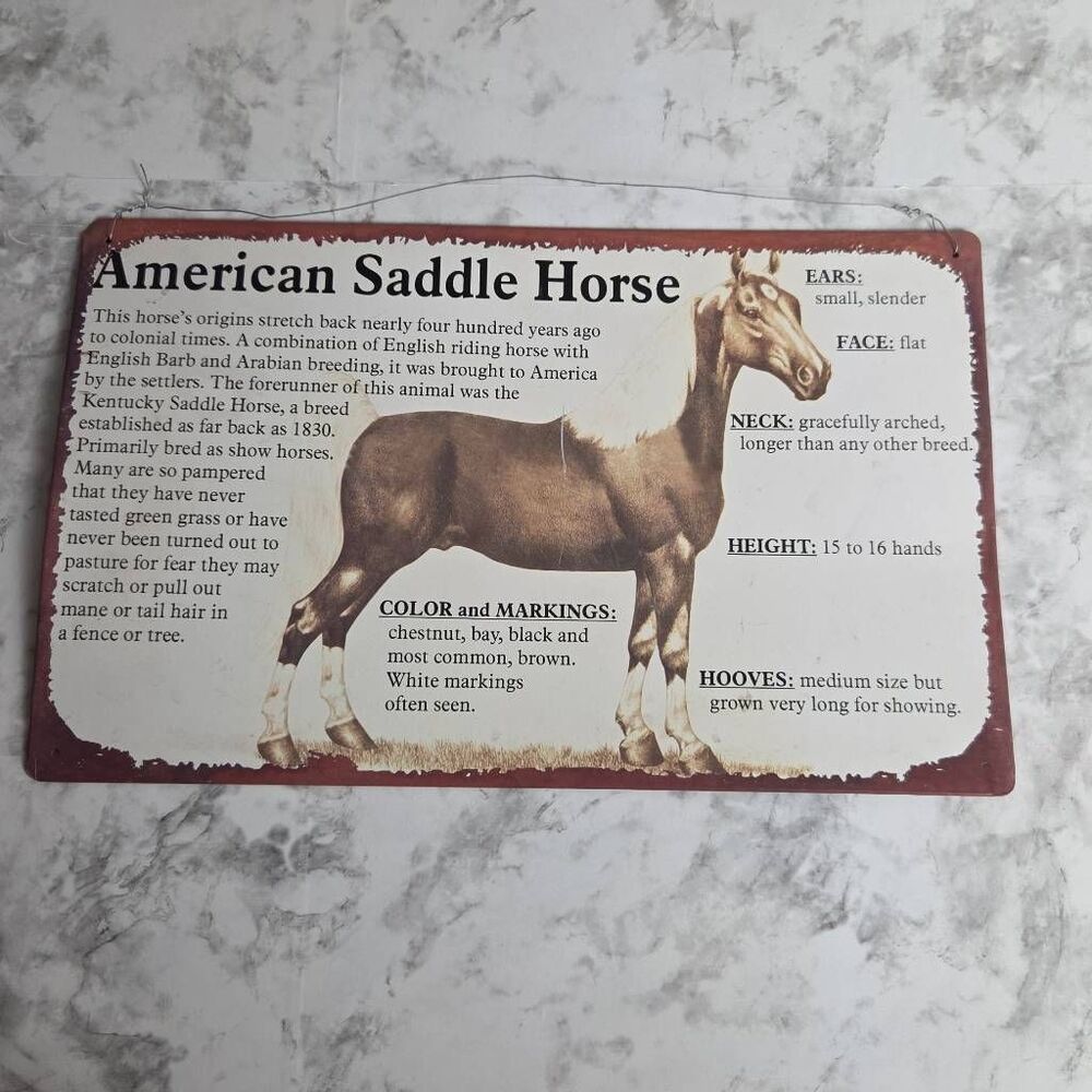 American Saddle Horse Sign Wall Decor